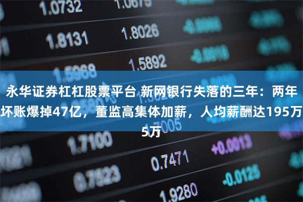 永华证券杠杠股票平台 新网银行失落的三年：两年坏账爆掉47亿，董监高集体加薪，人均薪酬达195万