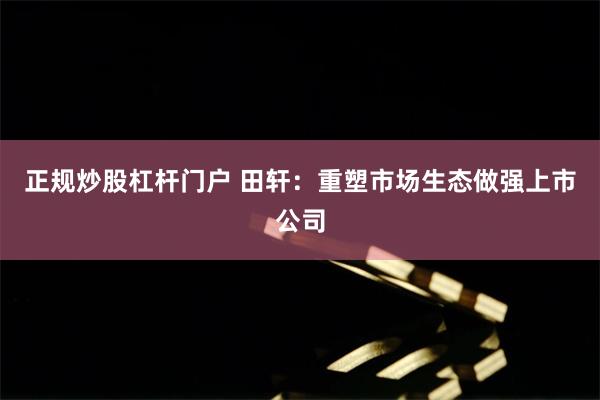 正规炒股杠杆门户 田轩：重塑市场生态做强上市公司