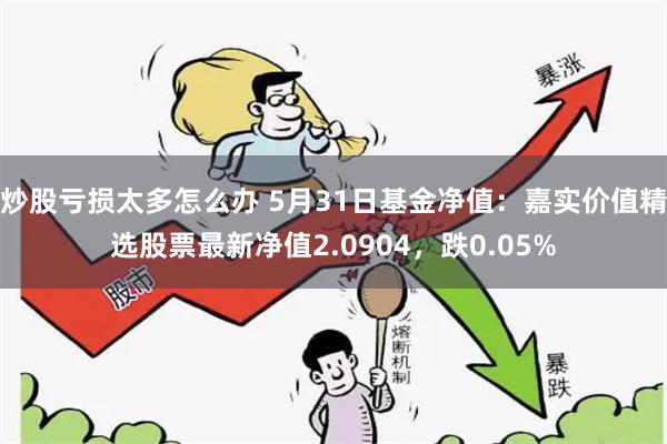 炒股亏损太多怎么办 5月31日基金净值：嘉实价值精选股票最新净值2.0904，跌0.05%
