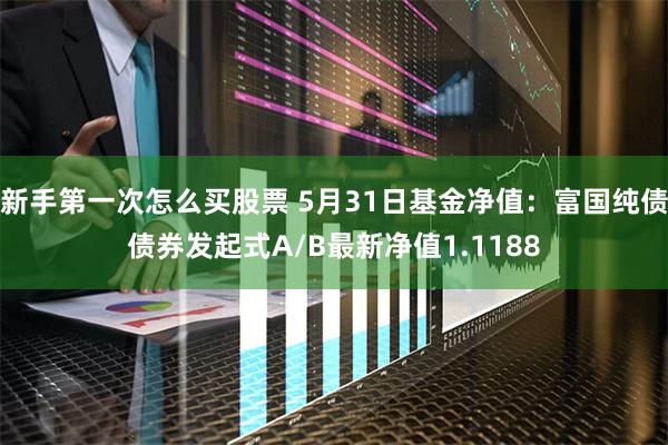 新手第一次怎么买股票 5月31日基金净值：富国纯债债券发起式A/B最新净值1.1188