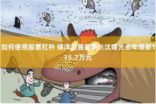 如何使用股票杠杆 镇洋发展董事长沈曙光去年领薪115.7万元
