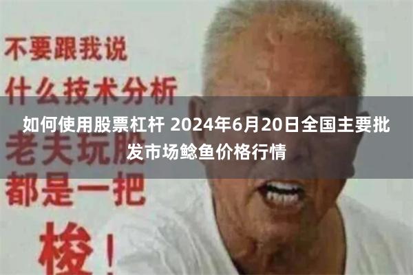 如何使用股票杠杆 2024年6月20日全国主要批发市场鲶鱼价格行情