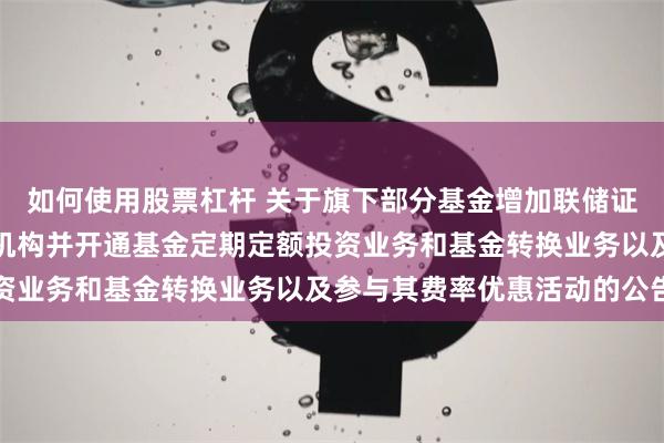 如何使用股票杠杆 关于旗下部分基金增加联储证券股份有限公司为销售机构并开通基金定期定额投资业务和基金转换业务以及参与其费率优惠活动的公告