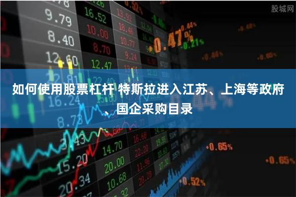 如何使用股票杠杆 特斯拉进入江苏、上海等政府、国企采购目录