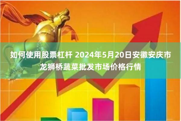 如何使用股票杠杆 2024年5月20日安徽安庆市龙狮桥蔬菜批发市场价格行情