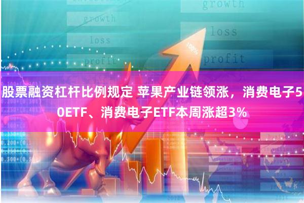 股票融资杠杆比例规定 苹果产业链领涨，消费电子50ETF、消费电子ETF本周涨超3%