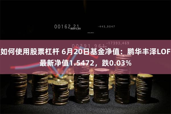 如何使用股票杠杆 6月20日基金净值：鹏华丰泽LOF最新净值1.5472，跌0.03%