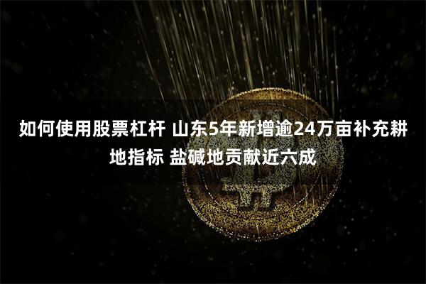 如何使用股票杠杆 山东5年新增逾24万亩补充耕地指标 盐碱地贡献近六成