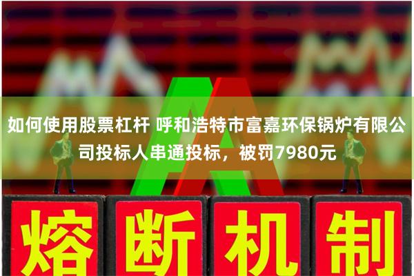 如何使用股票杠杆 呼和浩特市富嘉环保锅炉有限公司投标人串通投标，被罚7980元