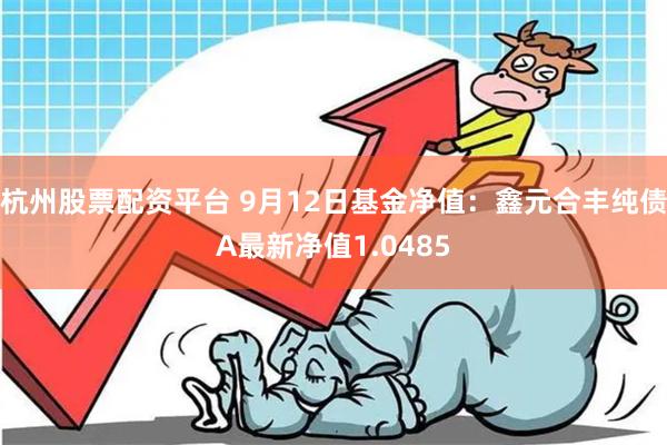 杭州股票配资平台 9月12日基金净值：鑫元合丰纯债A最新净值1.0485
