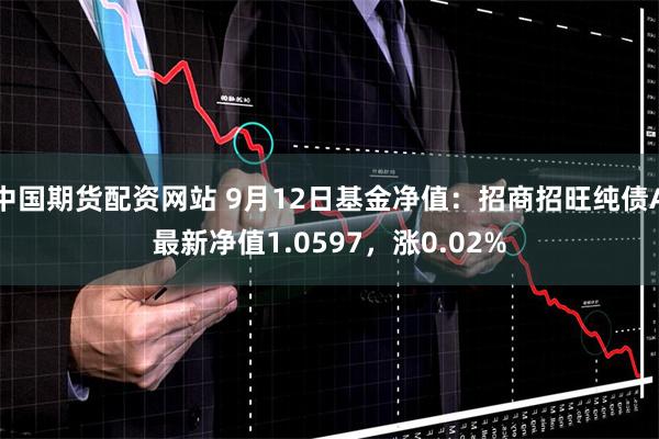 中国期货配资网站 9月12日基金净值：招商招旺纯债A最新净值1.0597，涨0.02%