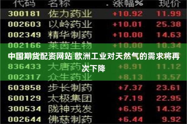 中国期货配资网站 欧洲工业对天然气的需求将再次下降
