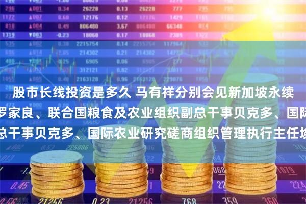 股市长线投资是多久 马有祥分别会见新加坡永续发展与环境部常务秘书罗家良、联合国粮食及农业组织副总干事贝克多、国际农业研究磋商组织管理执行主任埃洛阿菲