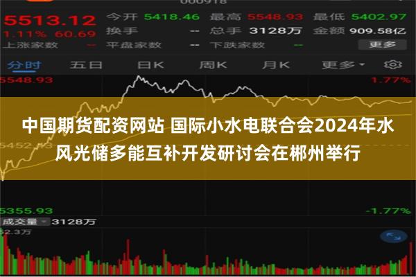 中国期货配资网站 国际小水电联合会2024年水风光储多能互补开发研讨会在郴州举行
