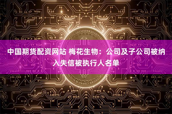 中国期货配资网站 梅花生物：公司及子公司被纳入失信被执行人名单