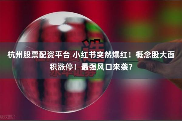 杭州股票配资平台 小红书突然爆红！概念股大面积涨停！最强