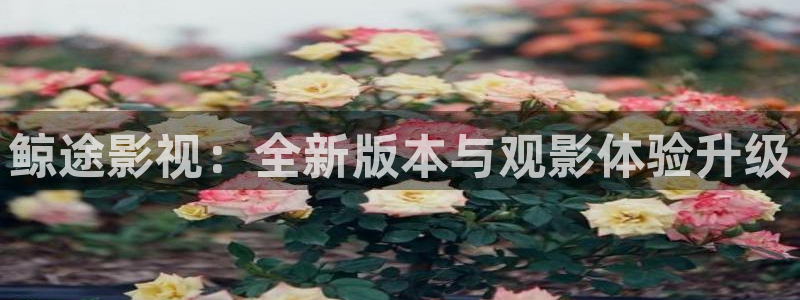 98影院手机版