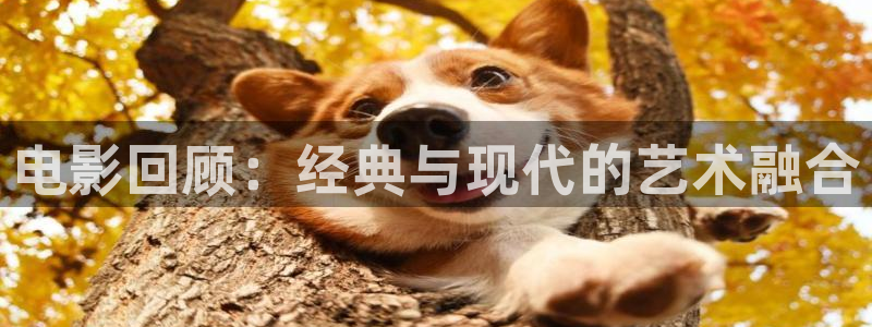 红桃影院kht.98vip