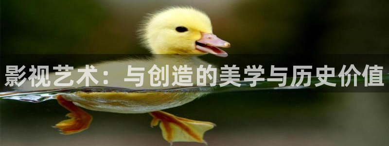 久久98精品视频