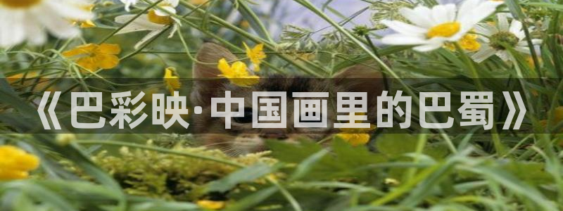 请回答1988 高清下载