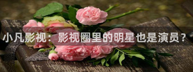 请回答1988免费观看高清