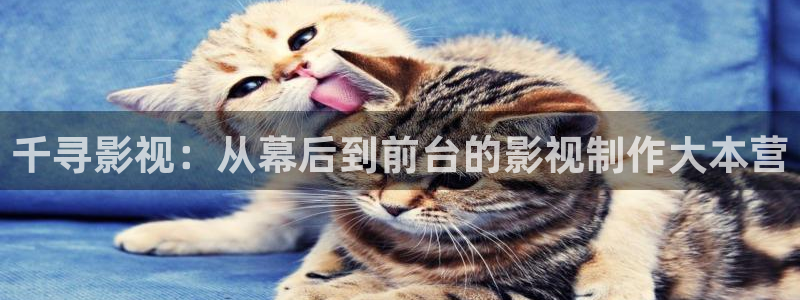 98影视电视剧免费看
