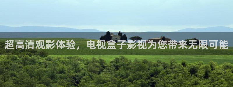 久久98视频