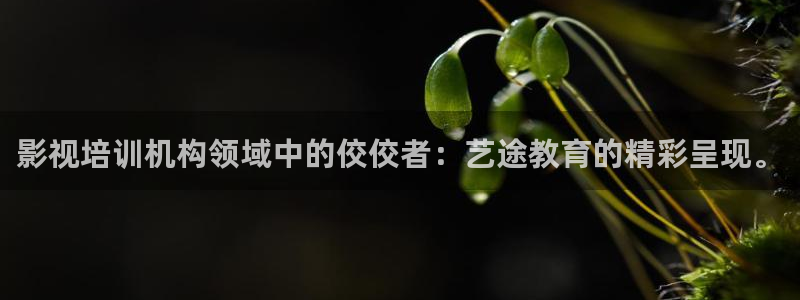 请回答1988完整版免费观看高清