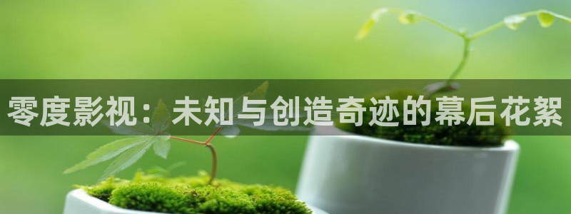 请回答1988免费观看高清